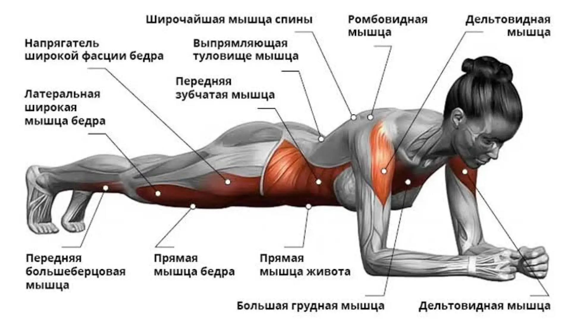70842c03a9b3484c4c8fcb58ce69c631.webp